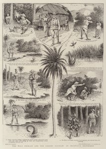 The Wily Shikari and the Greedy Saurian, an Ingenious Expedient by William Ralston